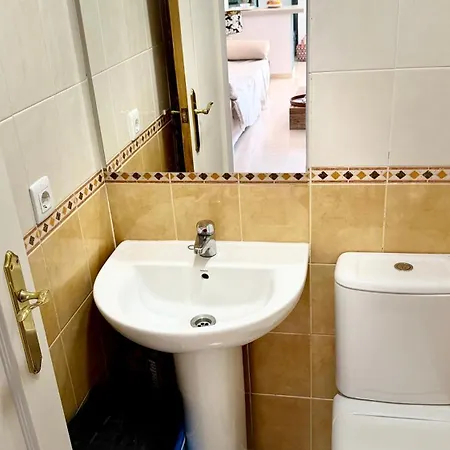 Datiler Vybdenia Dénia