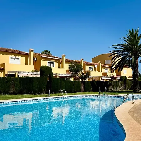 Datiler Vybdenia Dénia